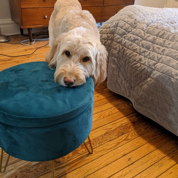 Fall/Winter Closet Refresh Coming in September - Picture 3 of 3